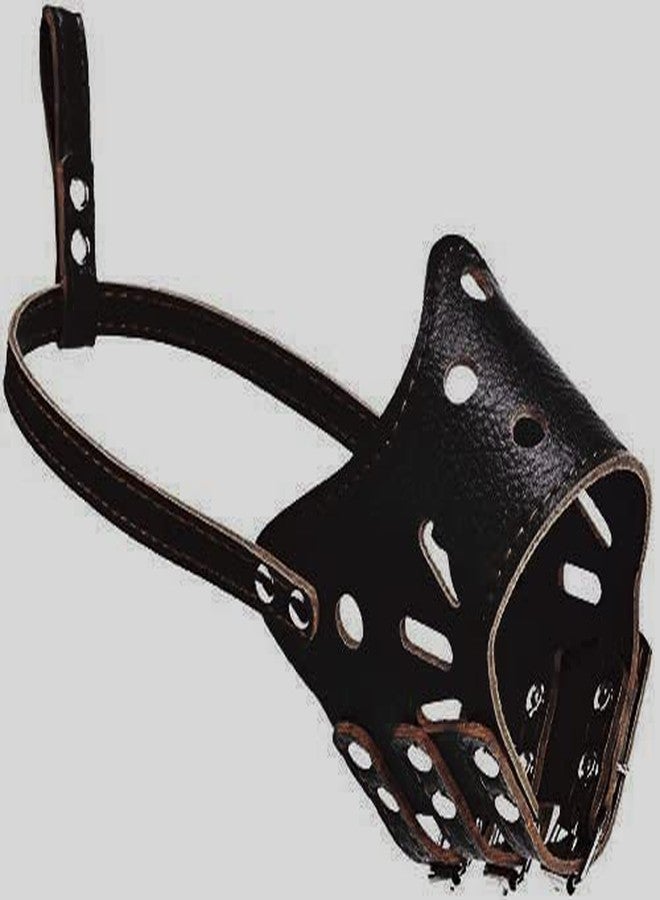 Pups&Pets واقي جلدي قابل للتعديل مضاد للعض من Pups&Pets | قناع أمان من جلد البولي يوريثان يسمح بالتهوية | كمامة مضادة للنباح للكلاب (متوسط) - Image 5